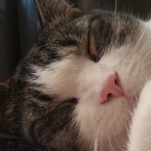 Meet your Posher, Sammy star 101